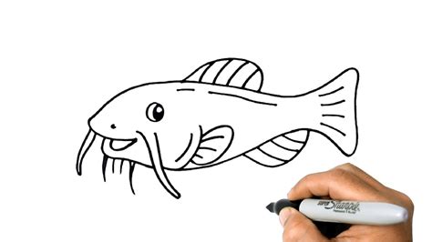 How to Draw a Catfish